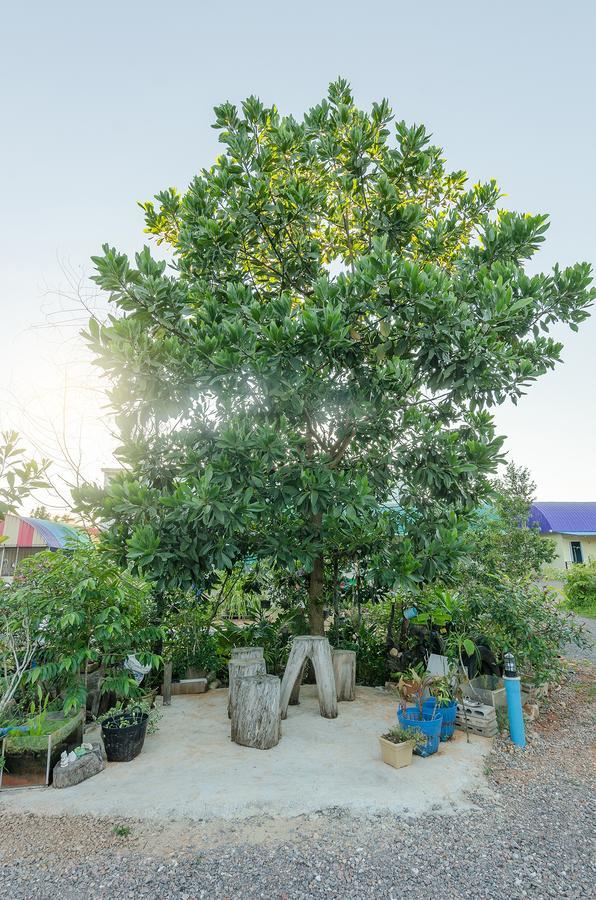 Ariya Garden Home Chumphon Esterno foto